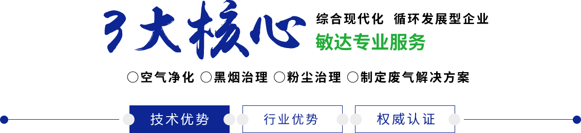 男人插入女人逼逼濑濑网站敏达环保科技（嘉兴）有限公司